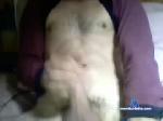 mulochef18 chaturbate profile picture