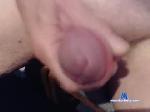 mybigdickforpuss chaturbate profile picture