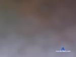 n1ghtc0ck chaturbate profile picture