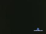 nat4336 chaturbate profile picture