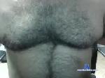 nellier2 chaturbate profile picture