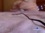 nika0711 chaturbate profile picture