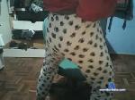 nikky_ts chaturbate profile picture