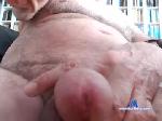 nipdreamer chaturbate profile picture