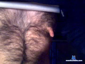 nipsit chaturbate livecam performer profile