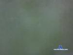 nudistatotalmente chaturbate profile picture