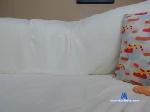 odry_shy chaturbate profile picture