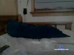 oneadjonson chaturbate profile picture