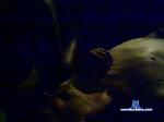 onyx206 chaturbate profile picture