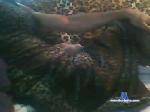 oofelia chaturbate profile picture