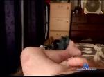 ozbloke67 chaturbate profile picture