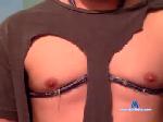 palmbreeze377 chaturbate profile picture