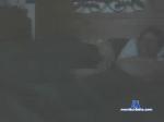 patrick1029 chaturbate profile picture