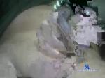 paulxxx243 chaturbate profile picture