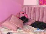 perrytania20 chaturbate profile picture
