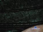 phill4236 chaturbate profile picture