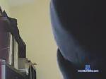 philoo273 chaturbate profile picture