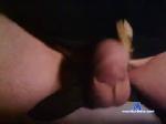 pierpq chaturbate profile picture
