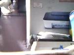 pipiro251 chaturbate profile picture