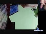 pirocudotaradao chaturbate profile picture
