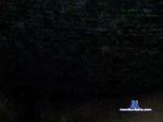 plaka17 chaturbate profile picture