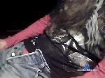 pmd0619 chaturbate profile picture