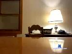 pnpnaked4thelasttime chaturbate profile picture