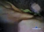 pohboh3333333 chaturbate profile picture
