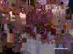 pokeorpoke chaturbate profile picture