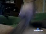 qdex chaturbate profile picture