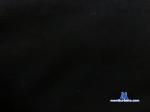 qthush chaturbate profile picture