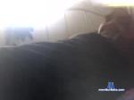 ralphieboy209 chaturbate profile picture