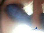 rammeslowy chaturbate profile picture