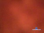 real6_bln chaturbate profile picture