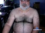 redbearlvr chaturbate profile picture