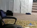 robert87311 chaturbate profile picture
