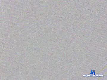 roberttiamo chaturbate livecam performer profile
