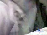rockyjsquirrel54 chaturbate profile picture