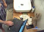 ron4260 chaturbate profile picture