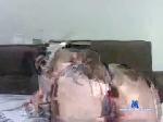 roxy_lovex chaturbate profile picture