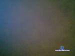 ryanfauth chaturbate profile picture