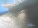 ryans7 chaturbate profile picture