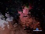 salvom2611 chaturbate profile picture