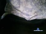 samrub123 chaturbate profile picture