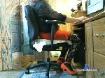 sandyncd chaturbate profile picture