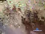 savelife1800 chaturbate profile picture