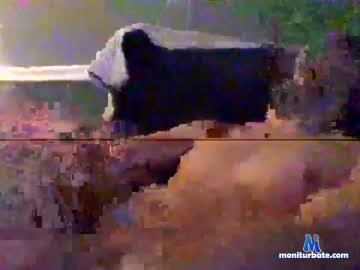 sc_gas4075 chaturbate livecam performer profile