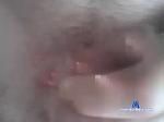 seksman11111 chaturbate profile picture