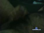 semental579 chaturbate profile picture