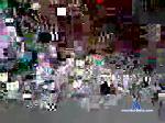 seslop chaturbate profile picture